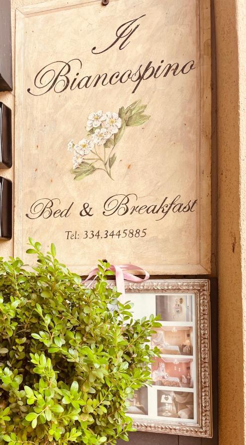 B&B Il Biancospino Abbadia San Salvator Zewnętrze zdjęcie